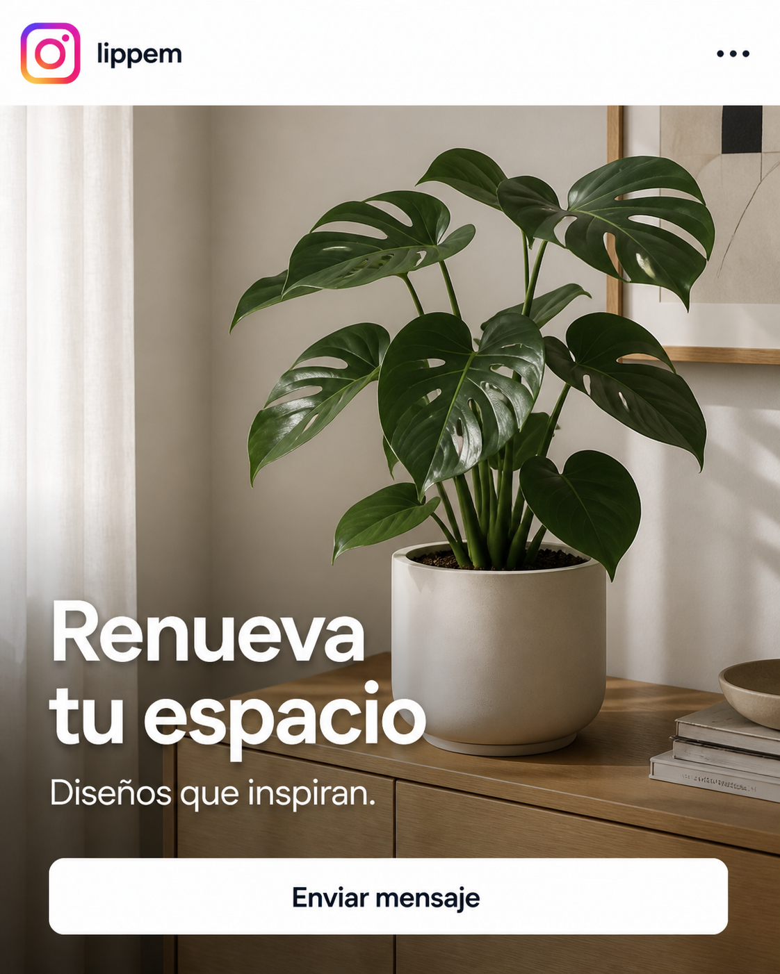 Ejemplo de publicación de un producto en Instagram